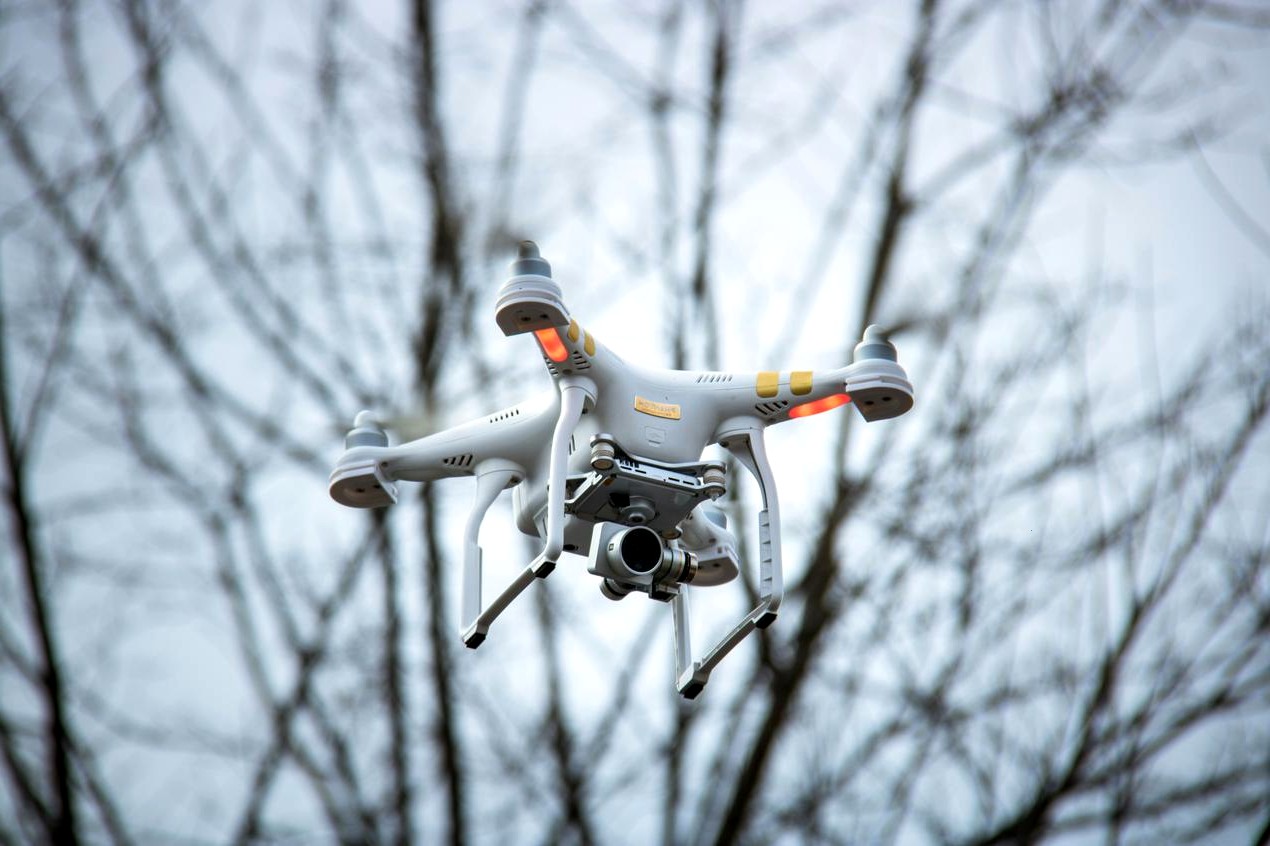 Seguridad y estabilidad